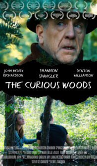 The Curious Woods