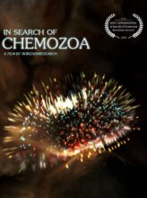 In Search of Chemozoa