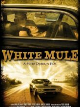 White Mule