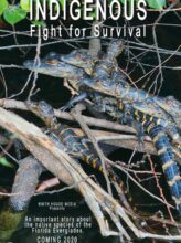 Indigenous: Fight for Survival