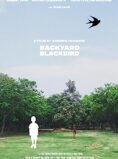 Backyard Blackbird
