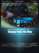 Shaggy Finds His Way