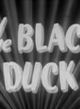The Black Duck