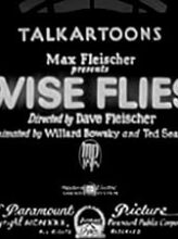 Wise Flies